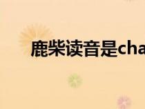 鹿柴讀音是chai還是zhai（鹿柴讀音）