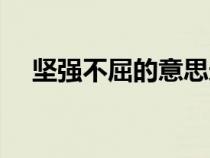 堅(jiān)強(qiáng)不屈的意思造句(堅(jiān)強(qiáng)不屈的意思) 堅(jiān)強(qiáng)不屈的意思造句(堅(jiān)強(qiáng)不屈的意思)