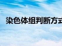 染色體組判斷方式（染色體組的判斷方法）
