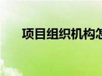 項目組織機構(gòu)怎么寫（項目組織機構(gòu)）
