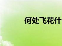 何處飛花什么意思（何處飛花）