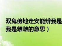 雙兔傍地走安能辨我是雄雌的意思翻譯（雙兔傍地走安能辨我是雄雌的意思）