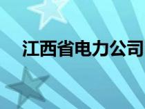 江西省電力公司電話（江西省電力公司）