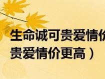 生命誠(chéng)可貴愛(ài)情價(jià)更高是什么意思（生命誠(chéng)可貴愛(ài)情價(jià)更高）