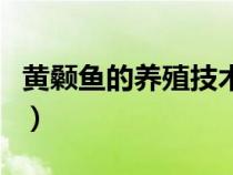 黃顙魚的養(yǎng)殖技術(shù)大全(黃顙魚實(shí)用養(yǎng)殖技術(shù)) 黃顙魚的養(yǎng)殖技術(shù)大全(黃顙魚實(shí)用養(yǎng)殖技術(shù))