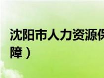 沈陽市人力資源保障局湛（沈陽市人力資源保障）