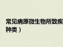 常見病原微生物所致疾病（列舉四個以上常見的病原微生物種類）