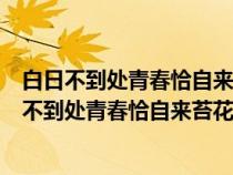 白日不到處青春恰自來(lái)苔花如米小也學(xué)牡丹開(kāi)的作文（白日不到處青春恰自來(lái)苔花如米小作文）