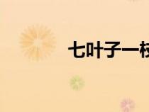 七葉子一枝花功效（七葉子）