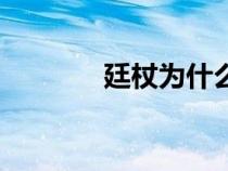 廷杖為什么能打死人（廷杖）