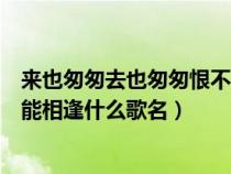 來也匆匆去也匆匆恨不能相逢圖片（來也匆匆去也匆匆恨不能相逢什么歌名）