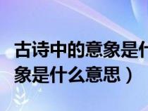 古詩中的意象是什么意思怎么寫(古詩中的意象是什么意思) 古詩中的意象是什么意思怎么寫(古詩中的意象是什么意思)