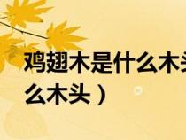 雞翅木是什么木頭?多少錢一方（雞翅木是什么木頭）