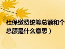 社保繳費(fèi)統(tǒng)籌總額和個(gè)人總額的區(qū)別(社保統(tǒng)籌總額和個(gè)人總額是什么意思) 社保繳費(fèi)統(tǒng)籌總額和個(gè)人總額的區(qū)別(社保統(tǒng)籌總額和個(gè)人總額是什么意思)