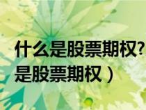 什么是股票期權(quán)?股票期權(quán)有什么特點(diǎn)?(什么是股票期權(quán)) 什么是股票期權(quán)?股票期權(quán)有什么特點(diǎn)?(什么是股票期權(quán))
