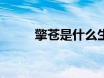 擎蒼是什么生肖（擎蒼什么意思）