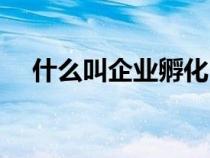 什么叫企業(yè)孵化（企業(yè)孵化是什么意思）
