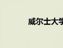 威爾士大學(xué)qs（威爾士大學(xué)）