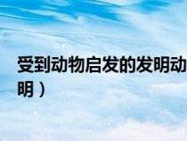 受到動(dòng)物啟發(fā)的發(fā)明動(dòng)物和發(fā)明怎么畫（受到動(dòng)物啟發(fā)的發(fā)明）