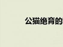 公貓絕育的利與弊（公貓絕育）