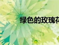 綠色的玫瑰花寓意（玫瑰花寓意）