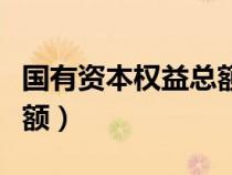 國有資本權(quán)益總額數(shù)怎么填（國有資本權(quán)益總額）