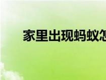家里出現(xiàn)螞蟻怎么辦（螞蟻多怎么辦）