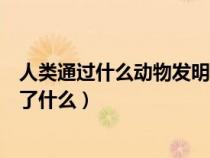 人類通過什么動物發(fā)明了什么東西（人類通過什么動物發(fā)明了什么）