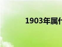 1903年屬什么生肖（1903年）
