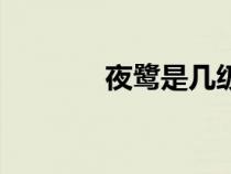 夜鷺是幾級保護動物（夜鷺）