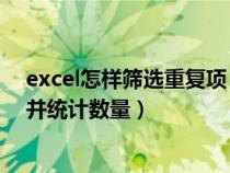 excel怎樣篩選重復項 進行統(tǒng)計(excel如何篩選重復數(shù)據(jù)并統(tǒng)計數(shù)量) excel怎樣篩選重復項 進行統(tǒng)計(excel如何篩選重復數(shù)據(jù)并統(tǒng)計數(shù)量)