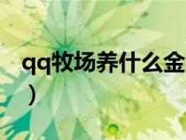 qq牧場養(yǎng)什么金幣最多（qq牧場金豬怎么賣）