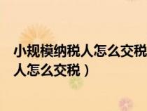 小規(guī)模納稅人怎么交稅交多少日超出部分交嗎（小規(guī)模納稅人怎么交稅）