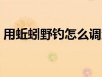 用蚯蚓野釣怎么調(diào)漂(用蚯蚓釣魚怎么調(diào)漂) 用蚯蚓野釣怎么調(diào)漂(用蚯蚓釣魚怎么調(diào)漂)