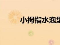 小拇指水泡型濕疹（水泡型濕疹）