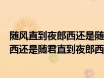 隨風(fēng)直到夜郎西還是隨君直到夜郎西哪個好（隨風(fēng)直到夜郎西還是隨君直到夜郎西）