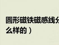 圓形磁鐵磁感線分布（圓形磁鐵的磁感線是什么樣的）