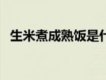 生米煮成熟飯是什么意思（生米煮成熟飯）