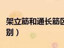 架立筋和通長(zhǎng)筋區(qū)別圖（通長(zhǎng)筋和架立筋的區(qū)別）