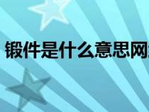 鍛件是什么意思網(wǎng)絡(luò)用語（鍛件是什么意思）