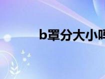 b罩分大小嗎（B罩大概是多大）