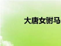 大唐女駙馬小說（大唐女駙馬）