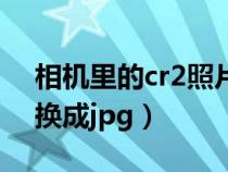 相機里的cr2照片怎么導出（相機cr2怎么轉(zhuǎn)換成jpg）