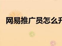 網(wǎng)易推廣員怎么升級(jí)(網(wǎng)易推廣員系統(tǒng)沒(méi)) 網(wǎng)易推廣員怎么升級(jí)(網(wǎng)易推廣員系統(tǒng)沒(méi))