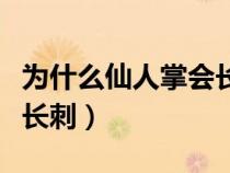 為什么仙人掌會長刺二年級（為什么仙人掌會長刺）