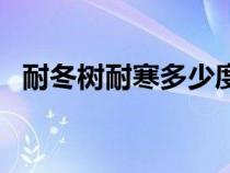 耐冬樹(shù)耐寒多少度（耐冬樹(shù)詳細(xì)資料謝謝）