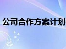 公司合作方案計劃書（項目合作方案怎么寫）