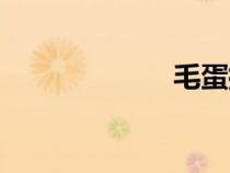 毛蛋批發(fā)（毛蛋）