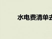 水電費清單去哪里打?。ㄋ娰M）