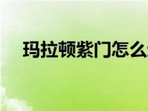 瑪拉頓紫門怎么進(jìn)（瑪拉頓紫門怎么走）